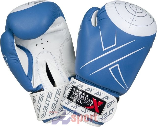 Boxerské rukavice TeamX S TERČÍKEM 10 oz - kůže