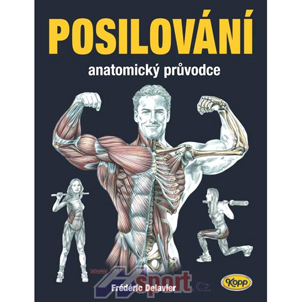 POSILOVÁNÍ - ANATOMICKÝ PRŮVODCE