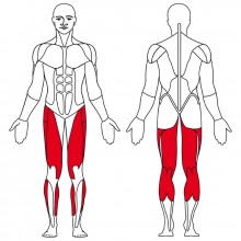 Rotoped-ergometr Kettler Lotus E