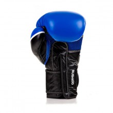 Boxerské rukavice DBX Bushido DBD-B-2 V2, 10 oz