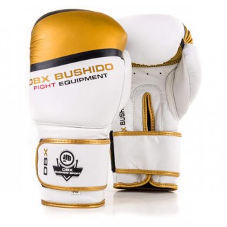 Boxerské rukavice DBX Bushido DBD-B-2 V1, 10 oz