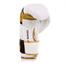 Boxerské rukavice DBX Bushido DBD-B-2 V1, 10 oz
