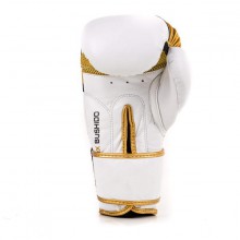 Boxerské rukavice DBX Bushido DBD-B-2 V1, 10 oz