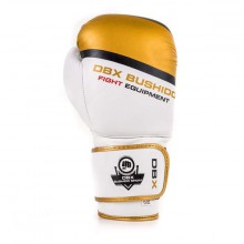 Boxerské rukavice DBX Bushido DBD-B-2 V1, 10 oz