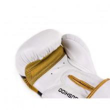 Boxerské rukavice DBX Bushido DBD-B-2 V1, 10 oz