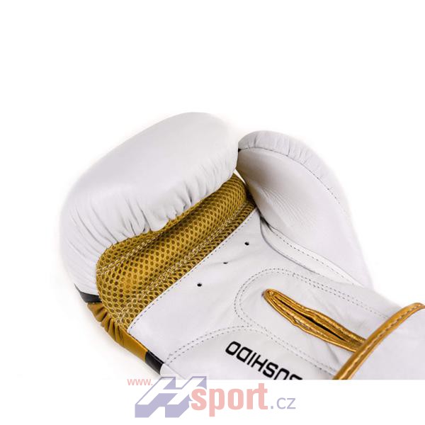 Boxerské rukavice DBX Bushido DBD-B-2 V1, 10 oz