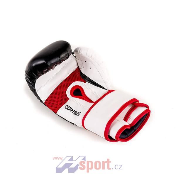 Boxerské rukavice DBX Bushido DBD-B-2 V3, 10 oz