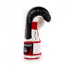 Boxerské rukavice DBX Bushido DBD-B-2 V3, 10 oz
