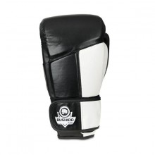 Boxerslé rukavice DBX Bushido ARB-431 bílé, 14 oz
