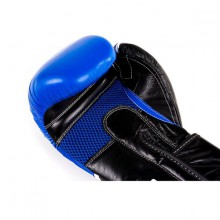 Boxerské rukavice DBX Bushido DBD-B-2 V2, 12 oz
