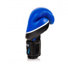 Boxerské rukavice DBX Bushido DBD-B-2 V2, 14 oz