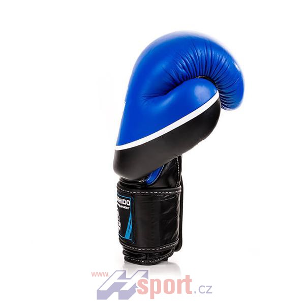 Boxerské rukavice DBX Bushido DBD-B-2 V2, 14 oz