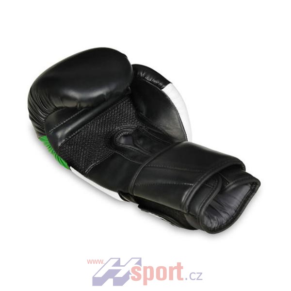 Boxerské rukavice DBX Bushido B-2 V6, 10 oz