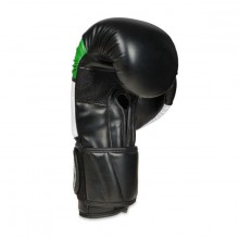 Boxerské rukavice DBX Bushido B-2 V6, 10 oz