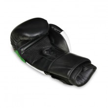 Boxerské rukavice DBX Bushido B-2 V6, 14 oz