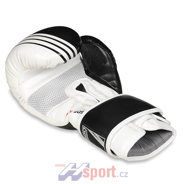 Boxerské rukavice DBX Bushido B-2 V3A, 10 oz