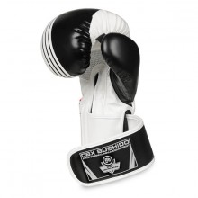 Boxerské rukavice DBX Bushido B-2 V3A, 10 oz