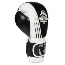 Boxerské rukavice DBX Bushido B-2 V3A, 10 oz