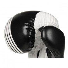 Boxerské rukavice DBX Bushido B-2 V3A, 10 oz