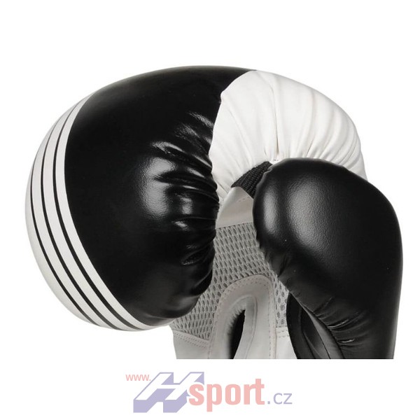 Boxerské rukavice DBX Bushido B-2 V3A, 10 oz