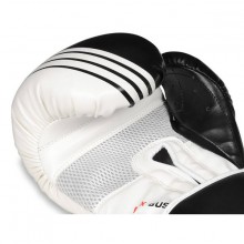 Boxerské rukavice DBX Bushido B-2 V3A, 10 oz