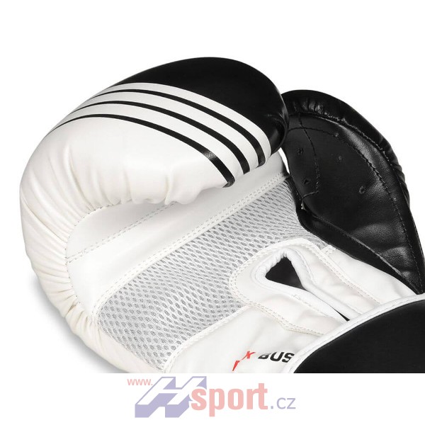 Boxerské rukavice DBX Bushido B-2 V3A, 10 oz