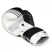 Boxerské rukavice DBX Bushido B-2 V3A, 12 oz