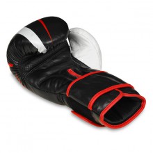 Boxerské rukavice DBX Bushido B-2 V7, 12 oz