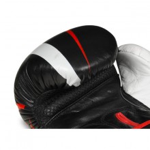 Boxerské rukavice DBX Bushido B-2 V7, 12 oz
