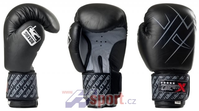 Boxerské rukavice TeamX 12 oz - kůže