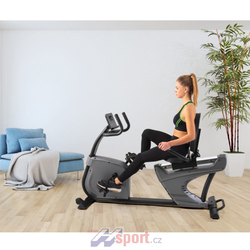 Recumbent Toorx BRX R 3000