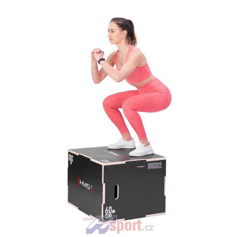 Plyo Box HMS DSC02