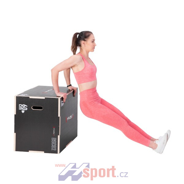 Plyo Box HMS DSC02