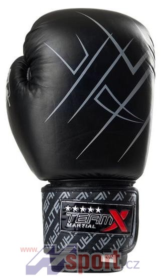 Boxerské rukavice TeamX 21 oz - kůže