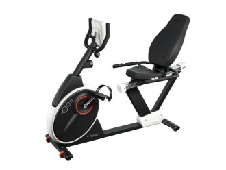 Recumbent Bremshey BR 3