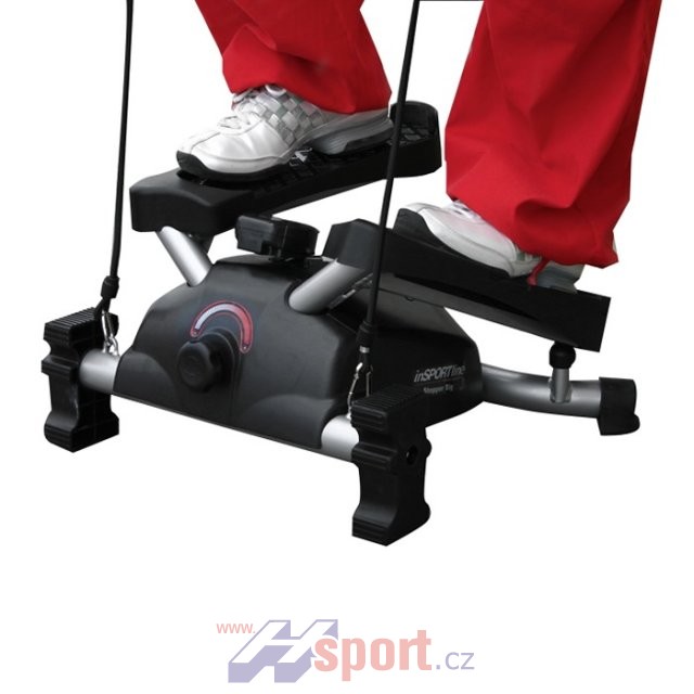 Stepper INSPORTLINE - TWIST BIG