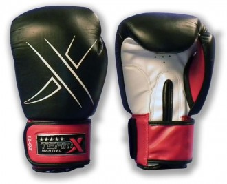 Rukavice TeamX LEON 12 oz - kůže