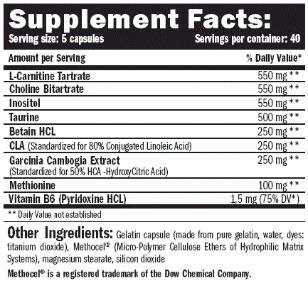 Amix Lipotropic fat burner 100 cps