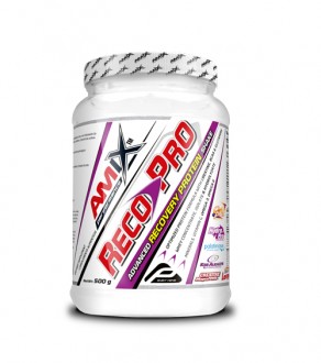Amix Performance Reco-Pro 500 g - exp. 12/2016