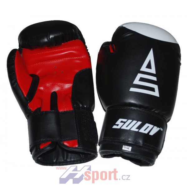 Boxerské rukavice Sulov DX 12 oz