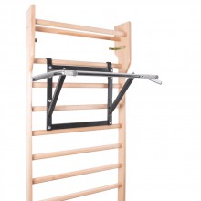 Nástěnná hrazda Insportline LCR-1115