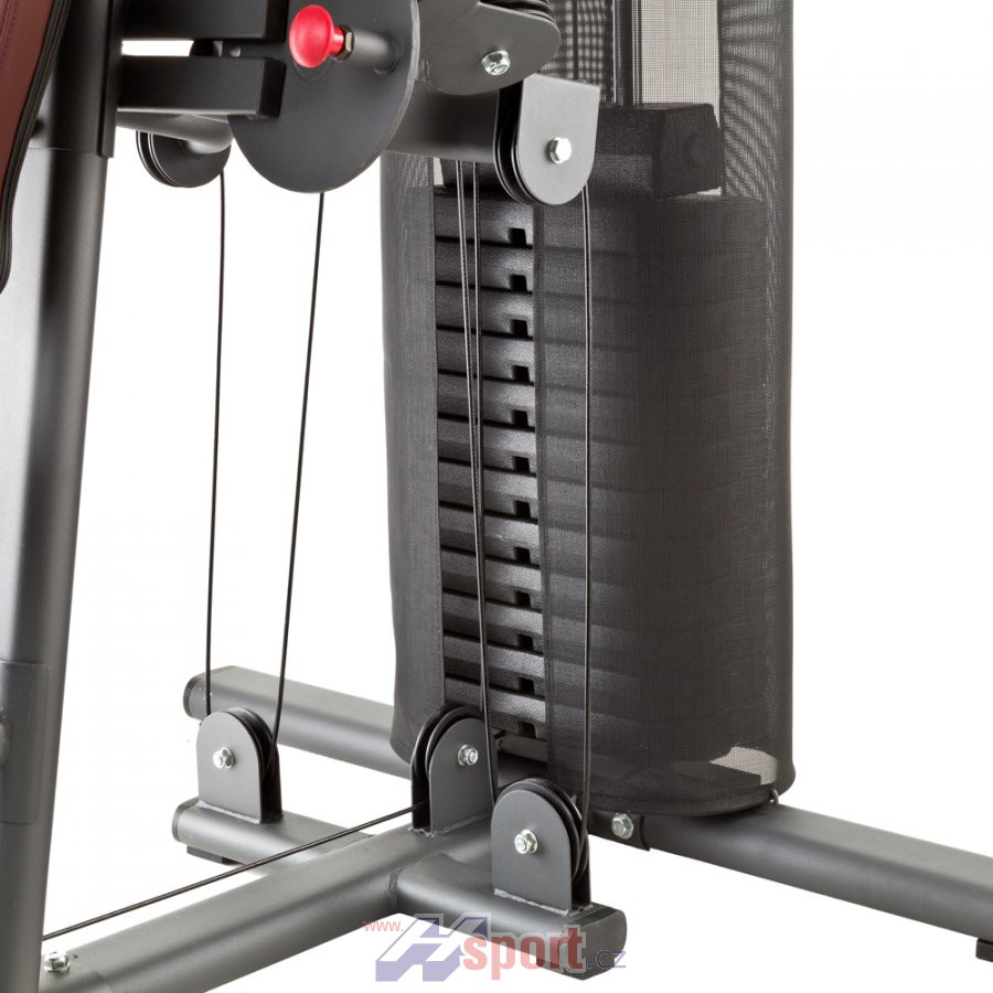 Multifunkční posilovací věž Insportline ProfiGym C95