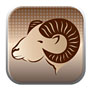 merino